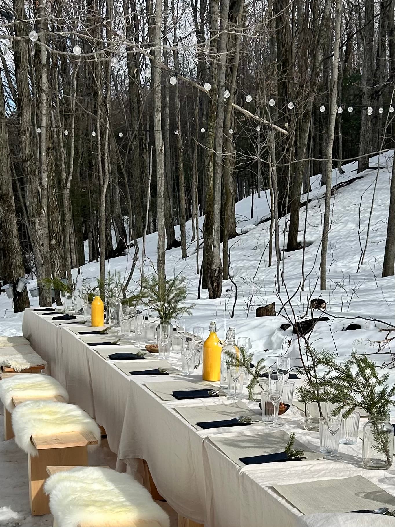 Brunch in the Woods — brunch table
